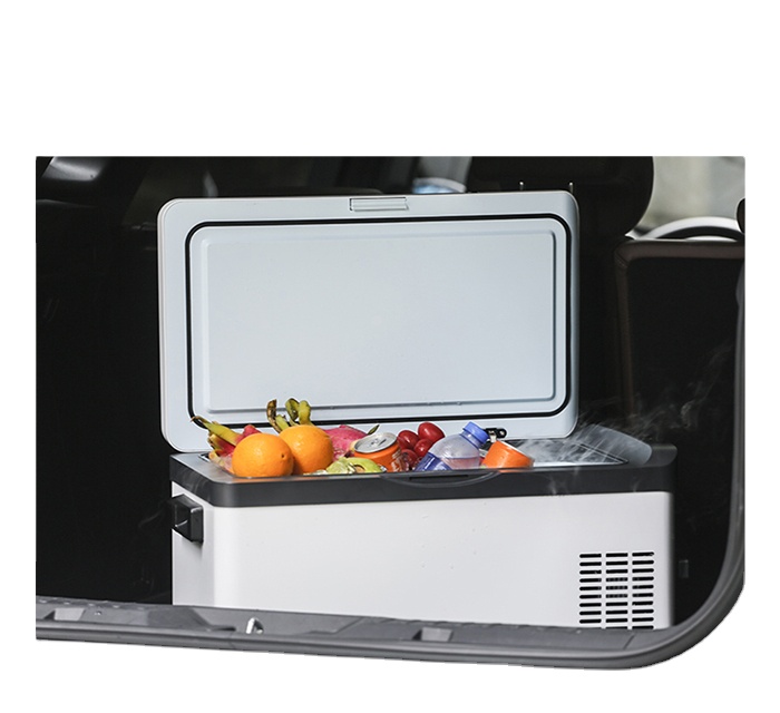 Nevera Eléctrica Portátil de 3 - Outdoor Camping Fridge reseña y precio