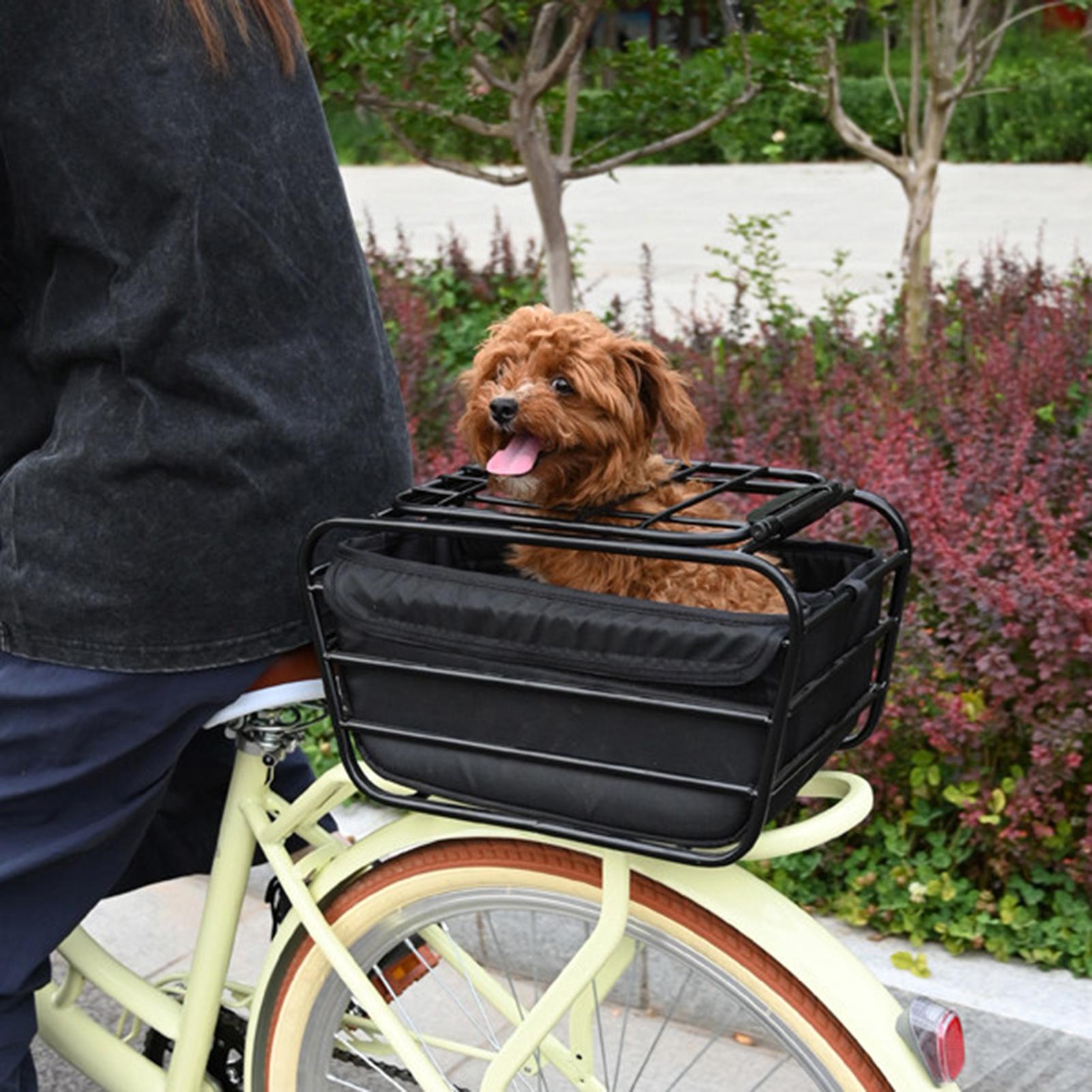 Cesta trasera para bicicleta d - Outdoor Camping Stores reseña y precio